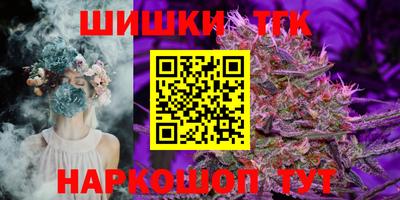 амф Кингисепп