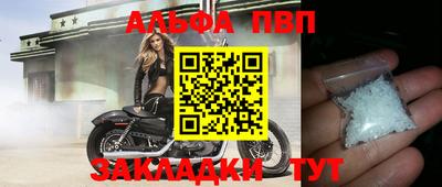 амф Кингисепп