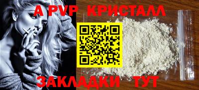 амф Кингисепп
