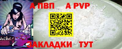 амф Кингисепп