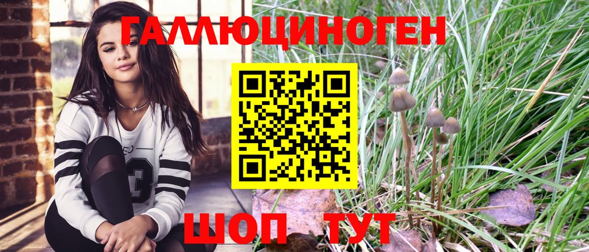 цены наркотик  Псилоцибиновые грибы Magic Shrooms  Вход с VPN  Троицк  Галлюциногенные грибы Cubensis 